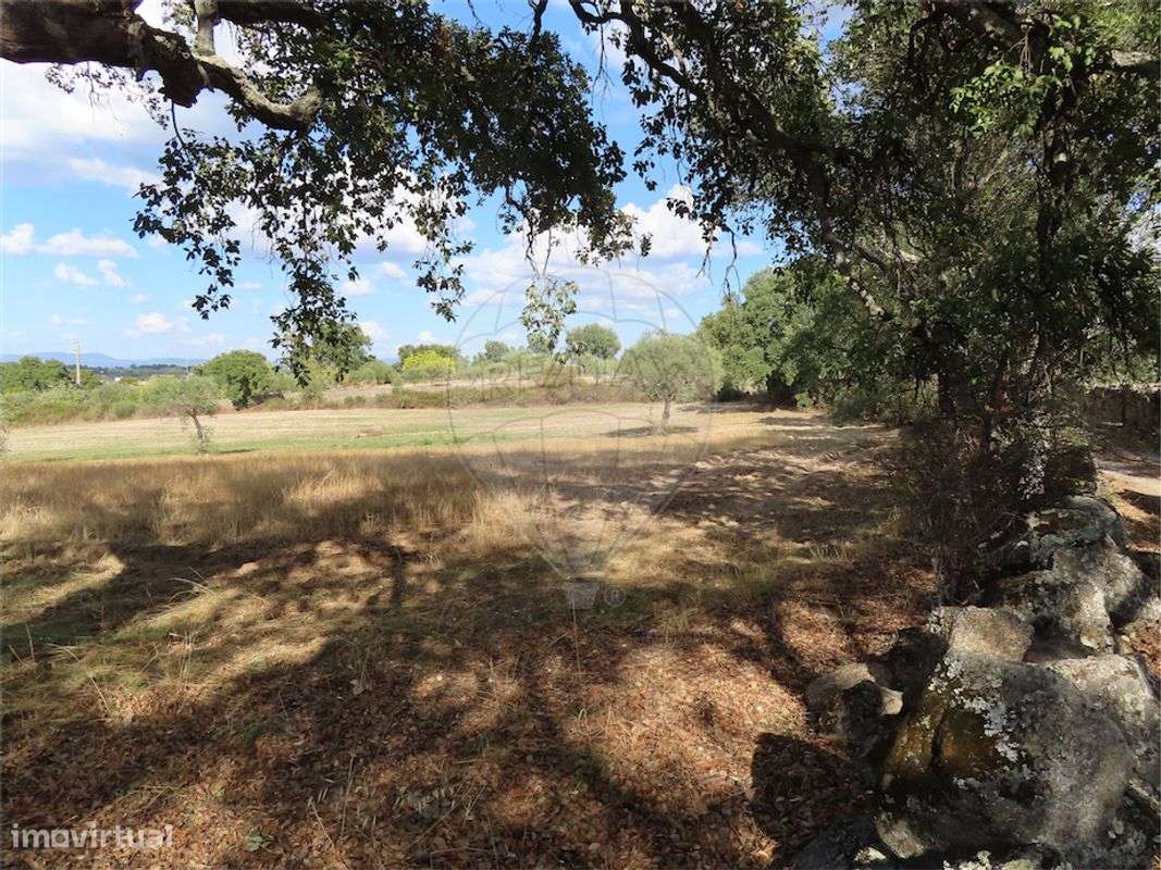 Quinta  para venda - Grande imagem: 4/21