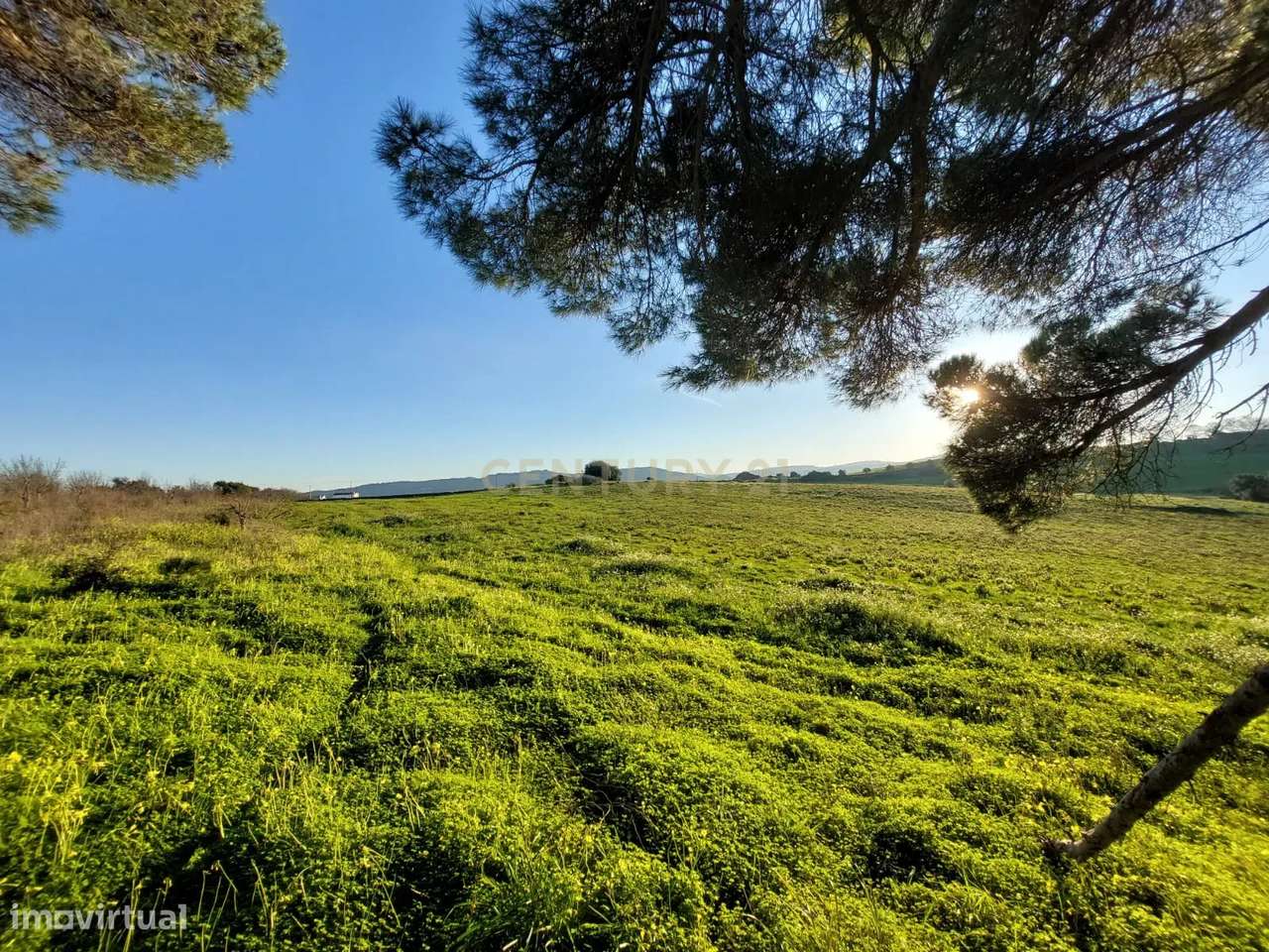 Quinta - 25 hectares-35