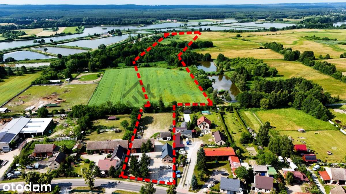 Posiadłość Dolina Baryczy, Sławoszowice dom ziemia - Pełny obrazek: 4/20