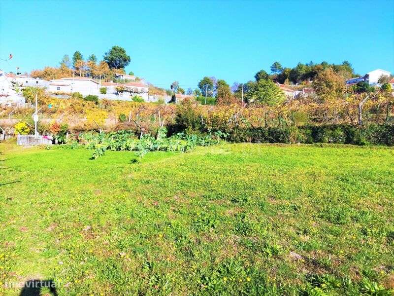 Terreno / Baião, Campelo e Ovil - Grande imagem: 4/7