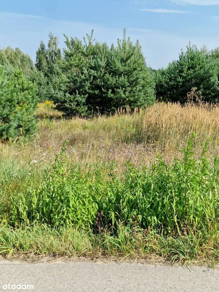 Działka 1,28ha Stefanówka - Blisko S7 i Warszawy-1