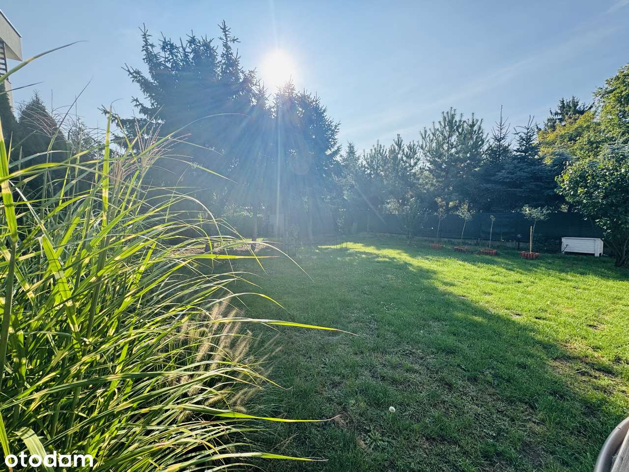 Nowa niższa cena/ Bez prowizji od Kupującego 0% - Pełny obrazek: 4/20