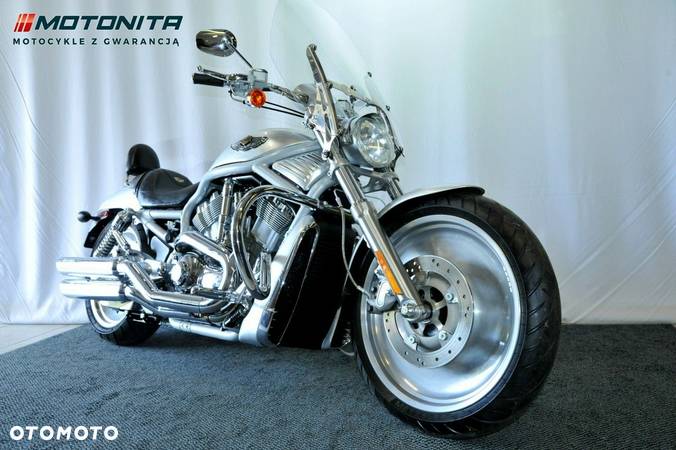 Harley-Davidson Softail V-Rod - 1