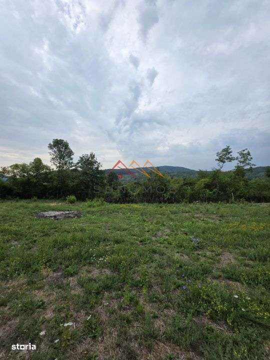 Teren Intravilan, utilitati in zona, 2600 mp, Draganeasa, Prahova-0