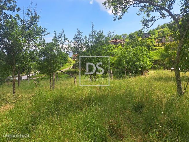 Moradia, 4 206,50 m², Paredes de Viadores e Manhuncelos-12