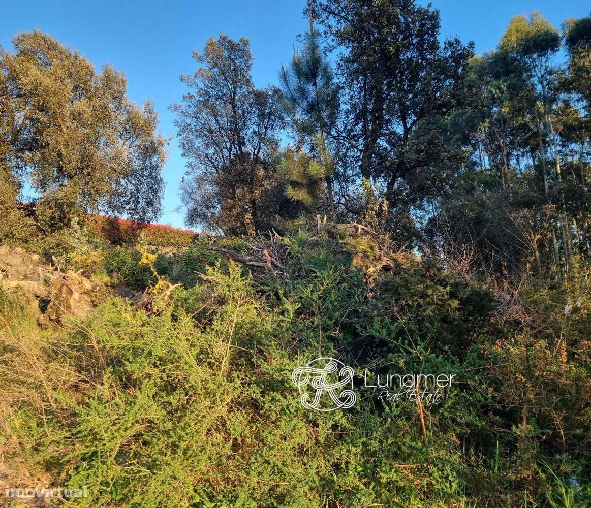 Terreno Urbano em Lousado - Grande imagem: 5/5