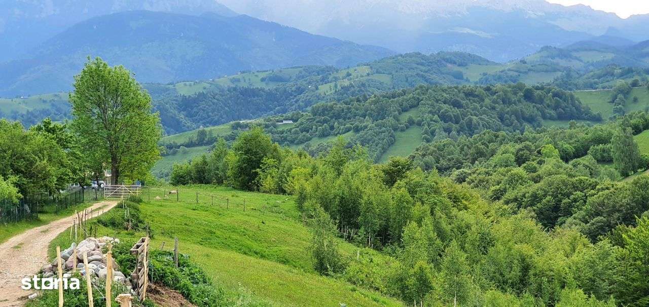 Teren casa de vacanta , Pestera , Brasov-15