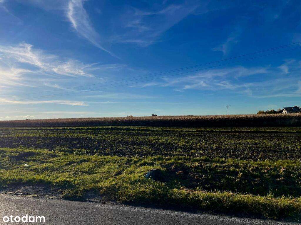 Przestronna,  26 arowa  działka budowlana w Osieku-2