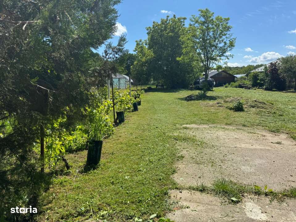 Teren Snagov – Ideal pentru dezvoltare rezidentiala sau investitie! - Imagine principală: 2/5