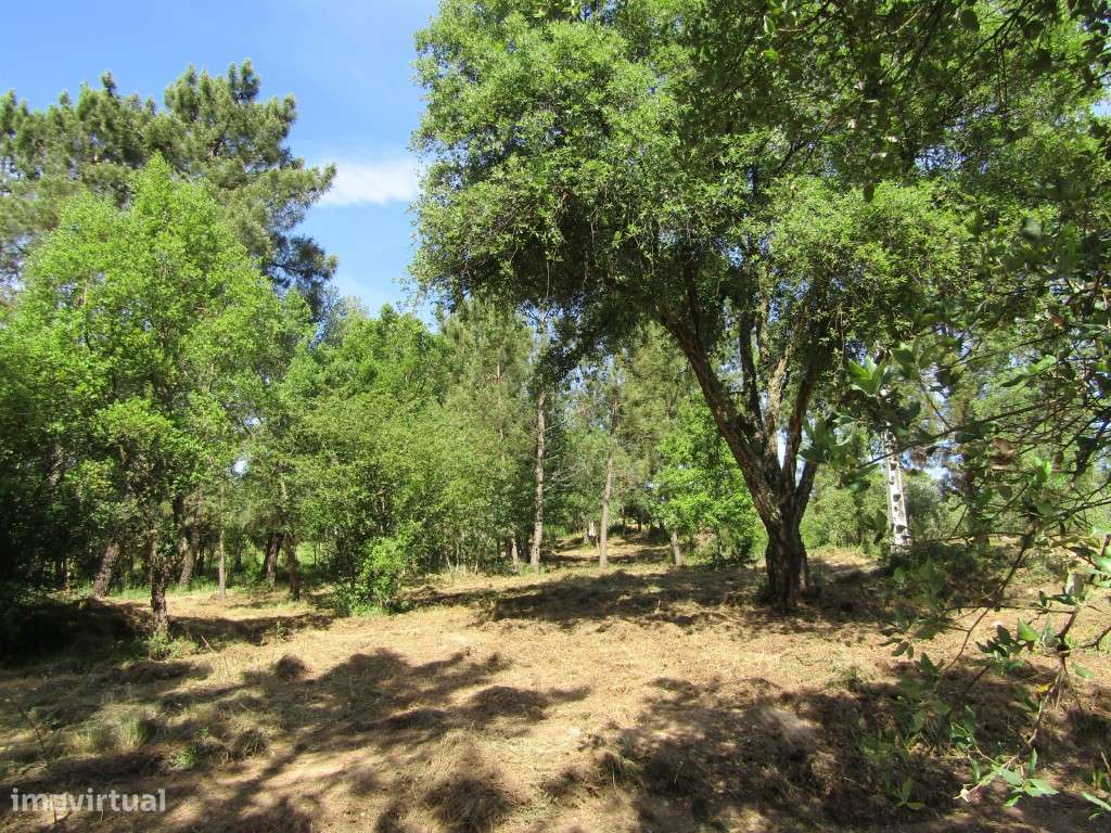 P26-238 Casal da Loba - Terreno Urbanizável no Centro de Portugal e...-9