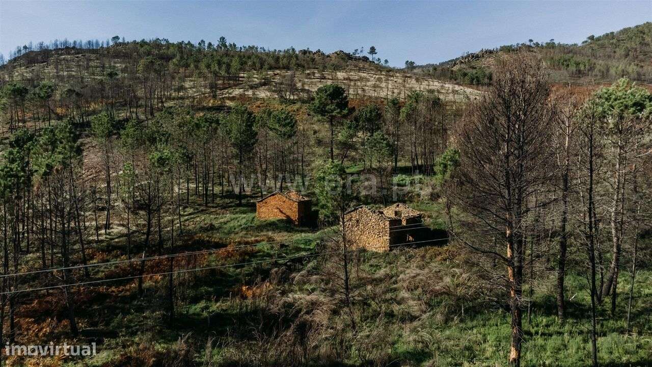 Moradia T1 Covilha Serra Da Estrela