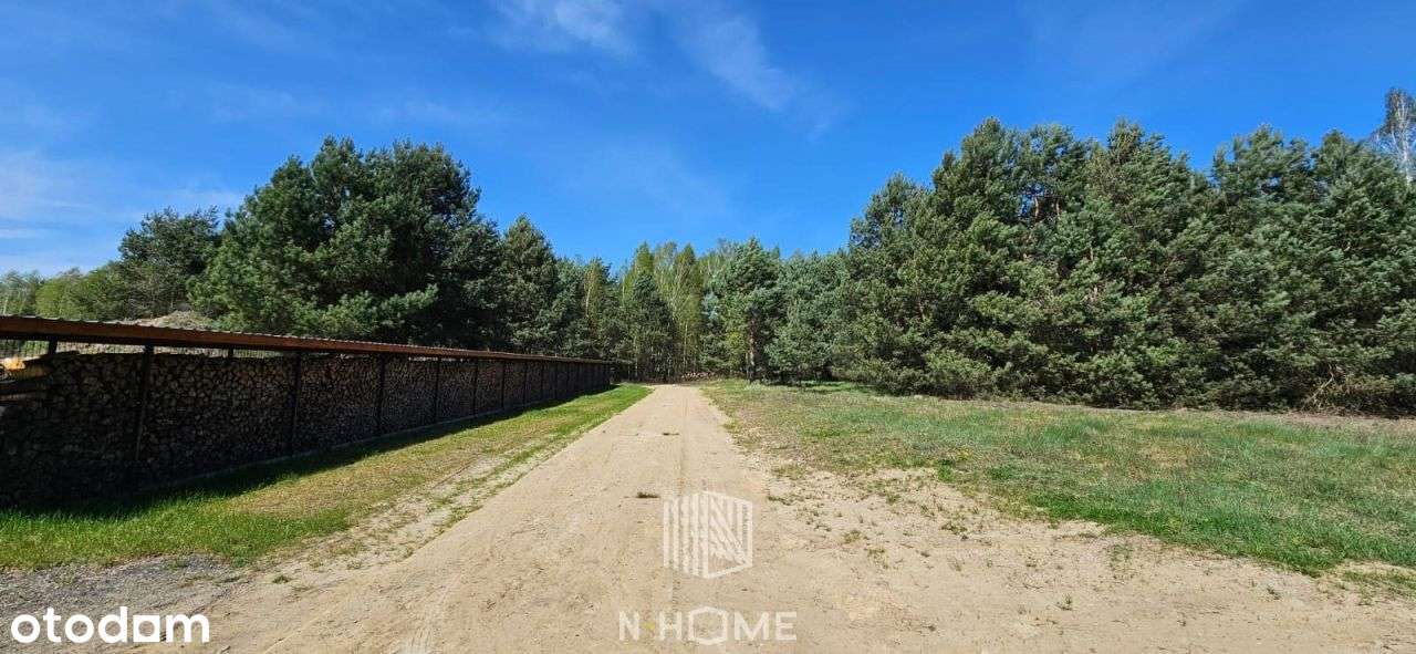 działka koło Twardogóry w otoczeniu lasów - Pełny obrazek: 5/9