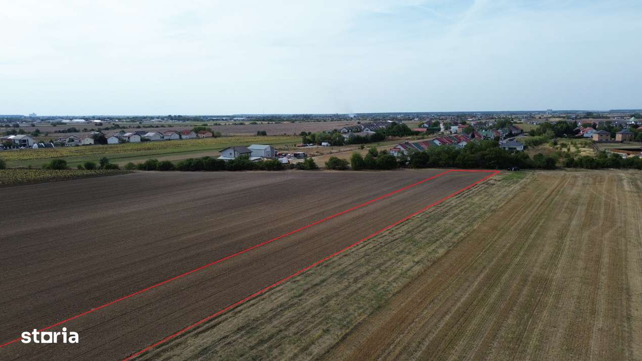 Teren intravilan 6000 mp Darza 13E/mp deal pentru case, ferma, product - Imagine principală: 4/7