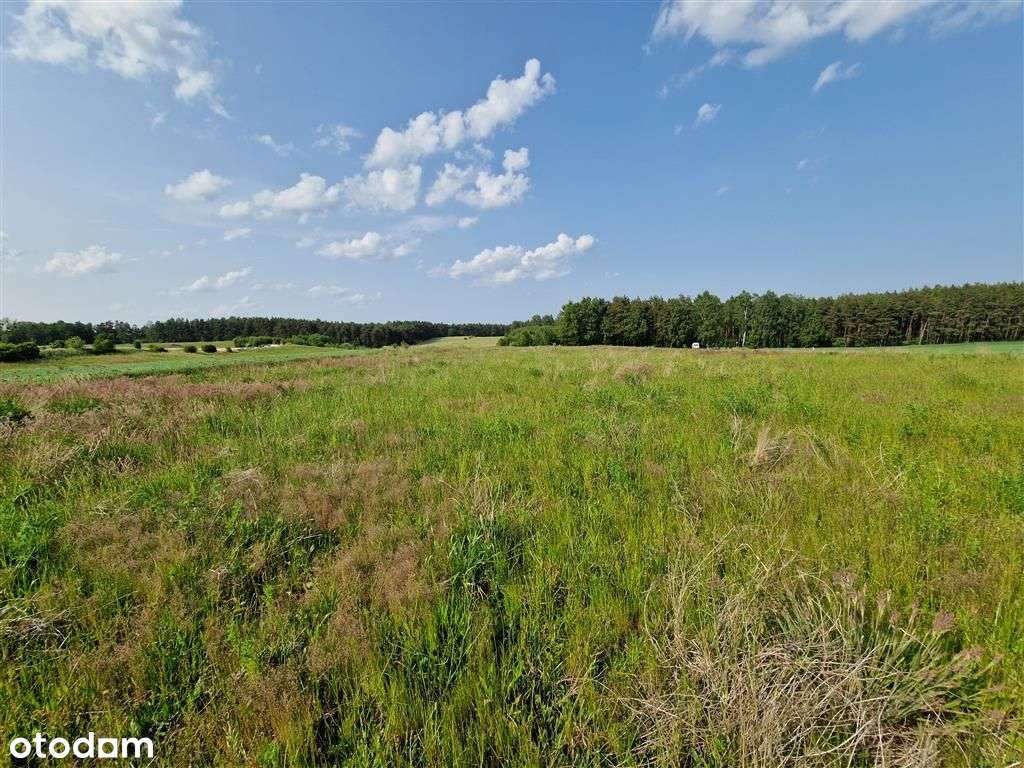 Mieszkania | Restauracja | Przychodnia | Sklep-3