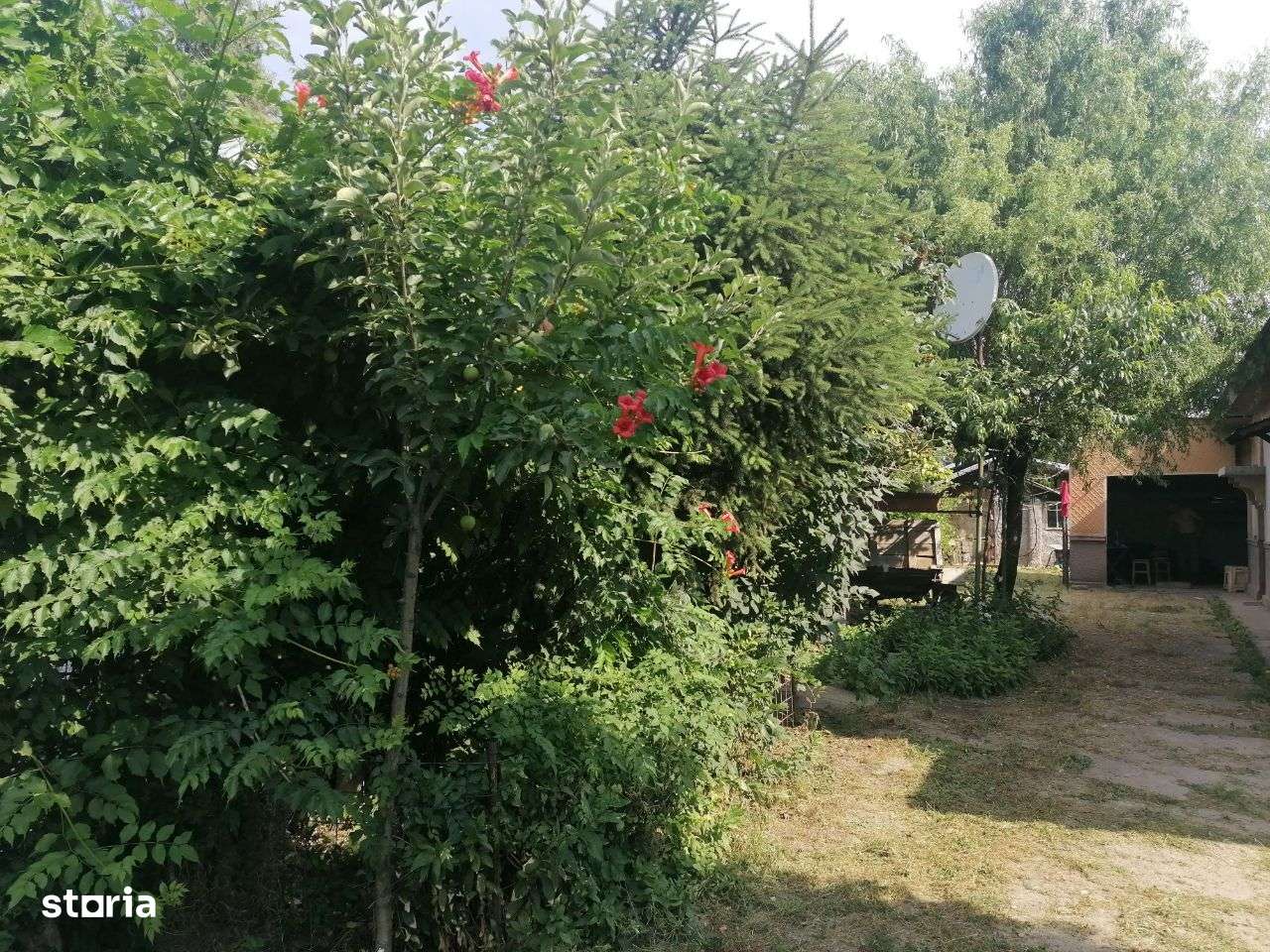 Vand casa batraneasca cu teren 2200 mp, Tantava, aproape de București - Imagine principală: 3/8