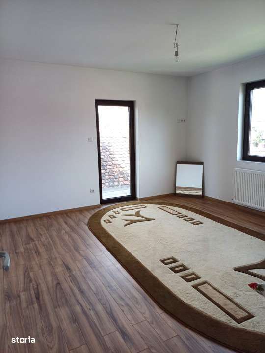 DOUA CASE DE VANZARE LA TALMACIU-14