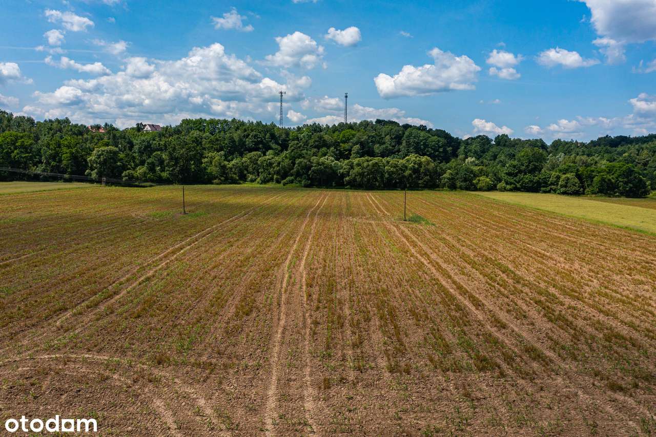 Działka inwestycyjna pod WZ Okocim - Pełny obrazek: 5/5