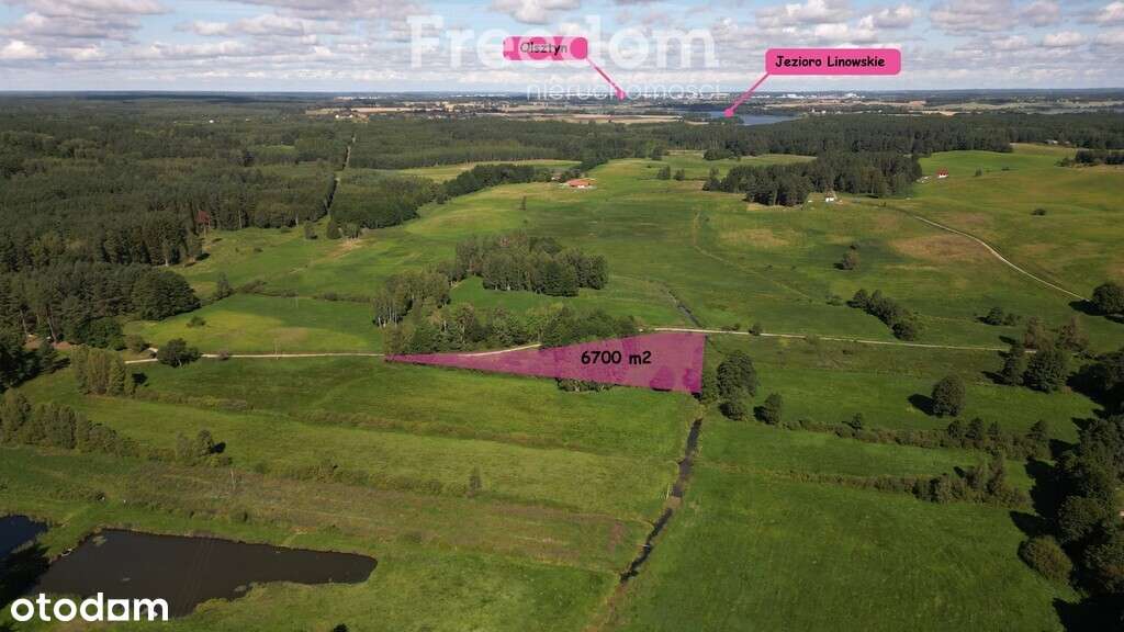 Atrakcyjna działka w Kabornie gm. Purda - Pełny obrazek: 1/6