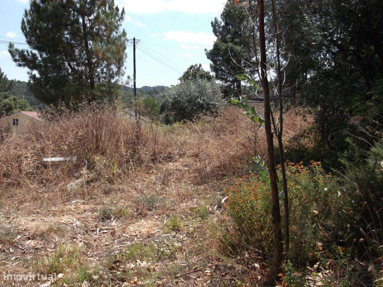 Terreno com 2056 m2 - Grande imagem: 4/4