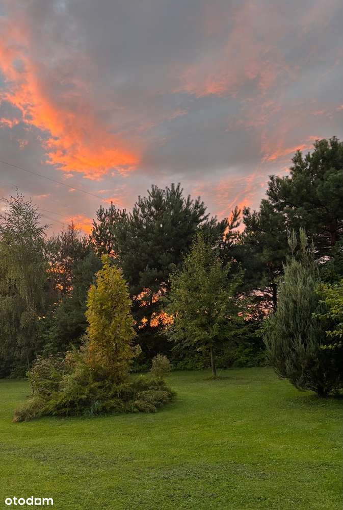 Piękne siedlisko z potencjałem w Dąbrowie 10 km od Poznania-4