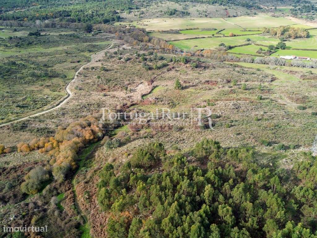 Herdade de 103 ha confinante com o Rio Ocreza em Castelo Branco - Grande imagem: 4/55