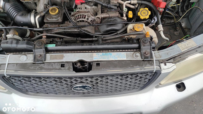 SUBARU FORESTER I Grill Atrapa - 2