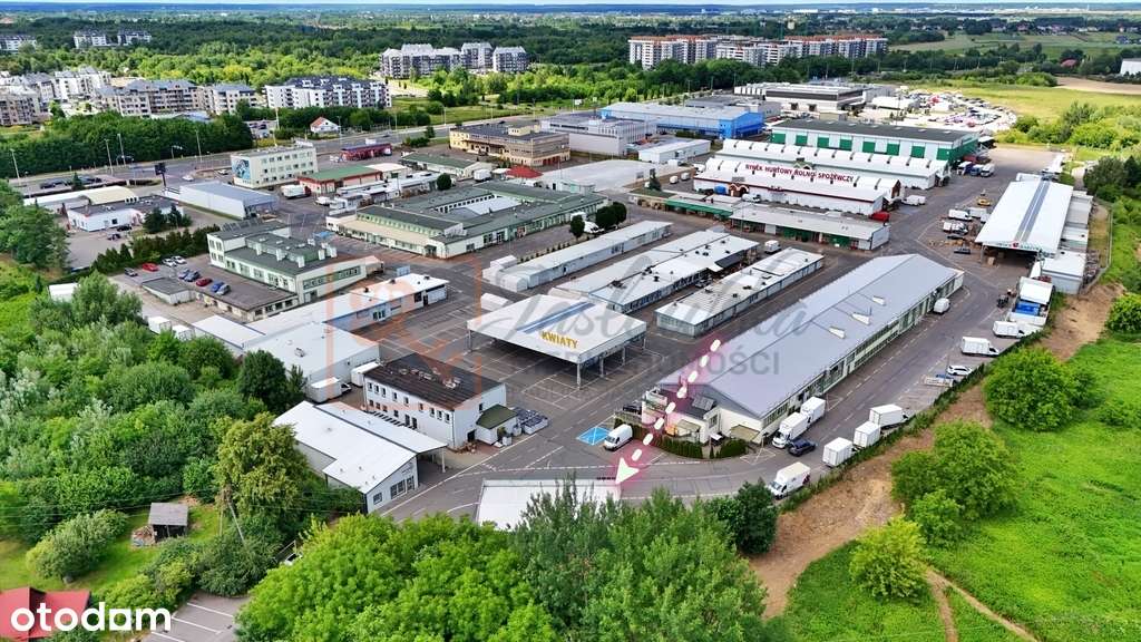 AgroHurt Rzeszów Lubelska Budynek 200m2 CHŁODNIA - Pełny obrazek: 5/18