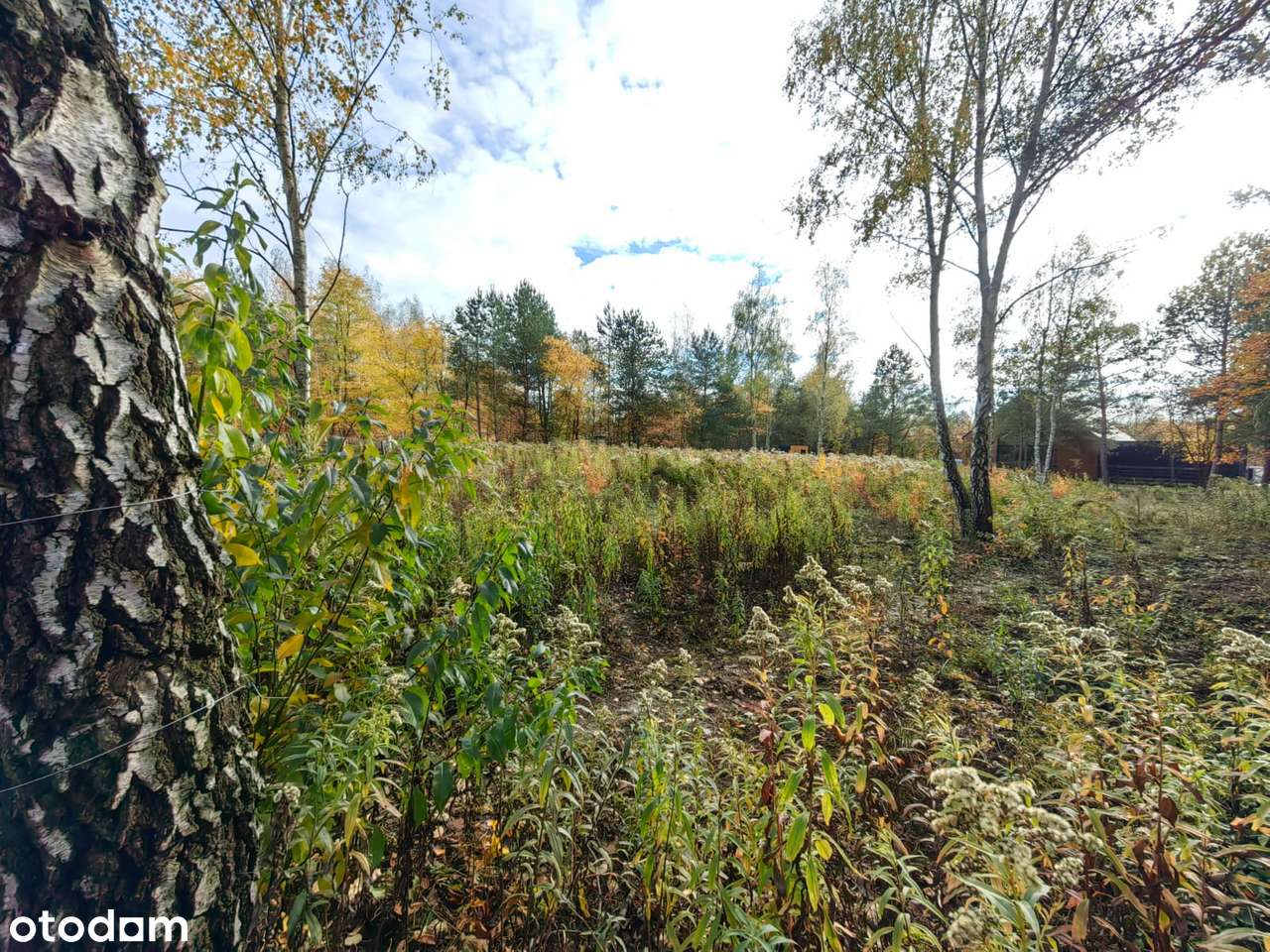 Przepiękna działka budowlana Jabłonna - Pełny obrazek: 5/6