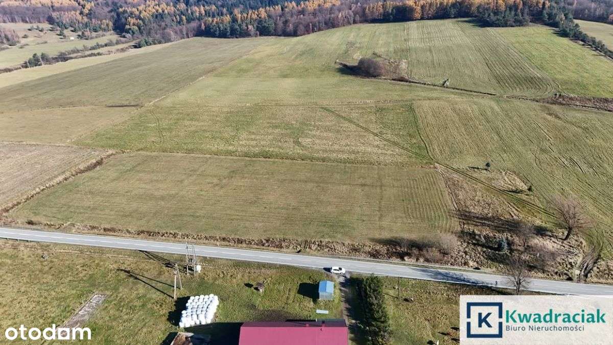 Piękna, budowlana działka w Zdyni!-14