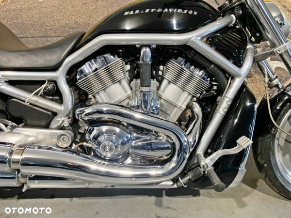 Harley-Davidson Softail V-Rod - 7