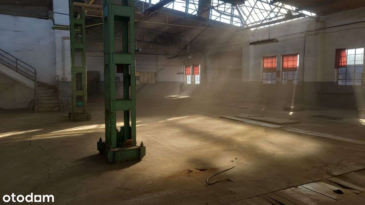 Hala / hale magazynowa produkcyjna usługi 1135m2 - Pełny obrazek: 4/19