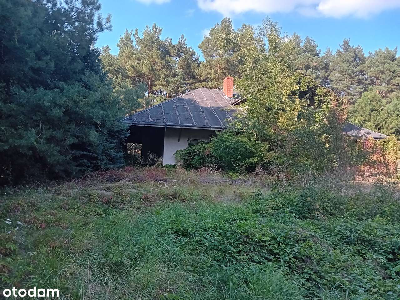 Dom, 300 m², Osłonin - Pełny obrazek: 2/12