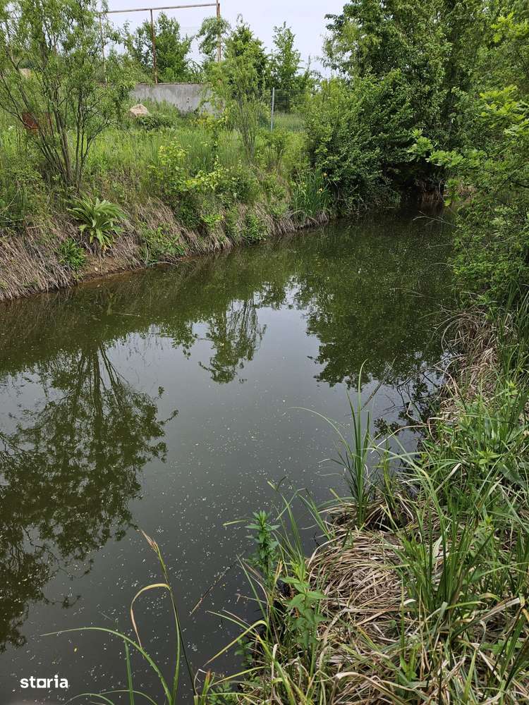 Teren intravilan Snagov-Ghermanesti DJ101b-3