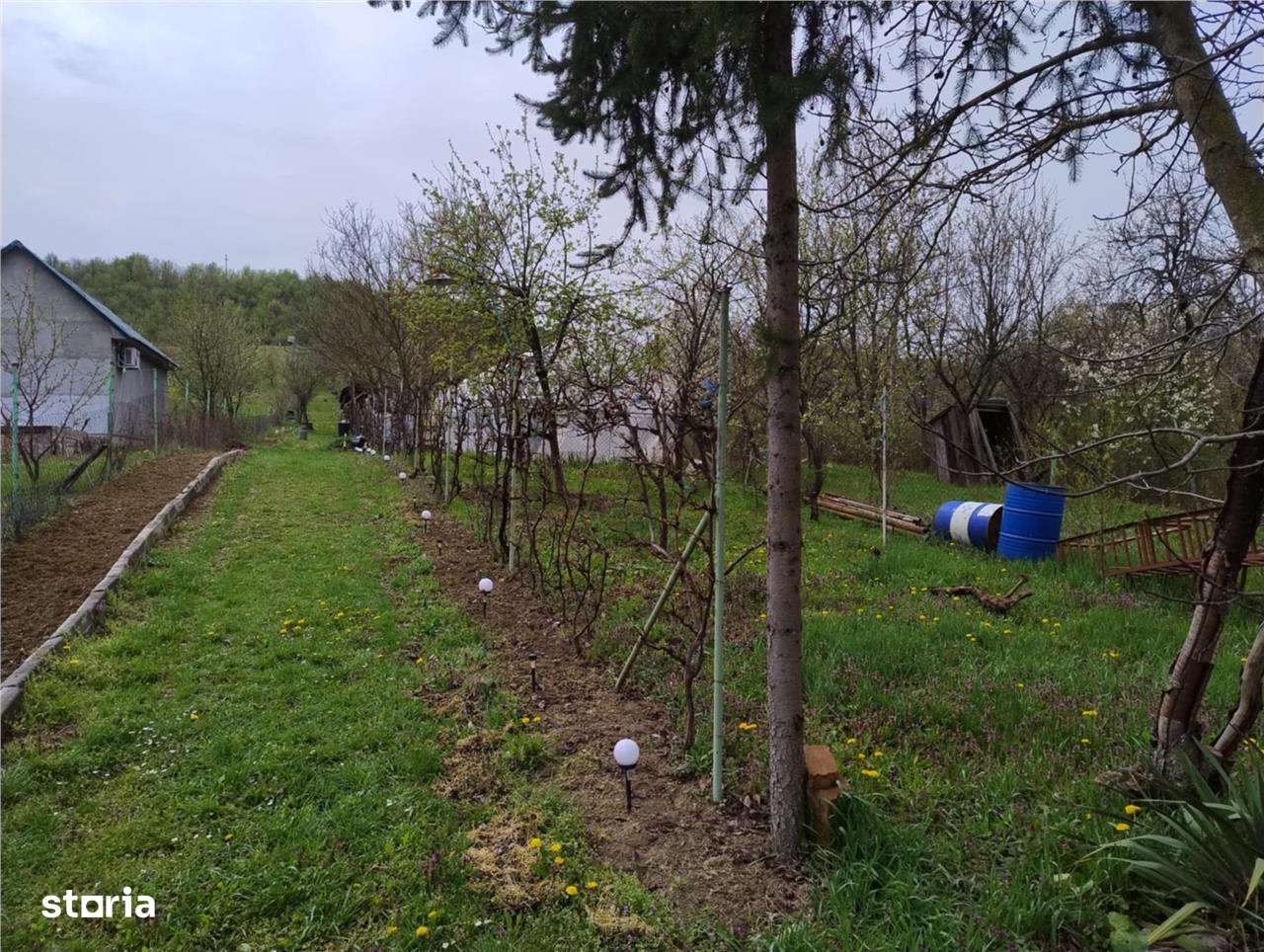 RECO Teren intravilan, Santelec - Imagine principală: 4/7