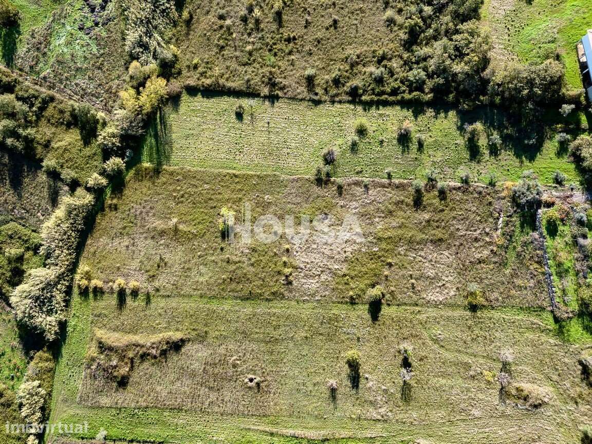 Terreno Rústico com 7.670m² nos Golfeiros – Batalha-4