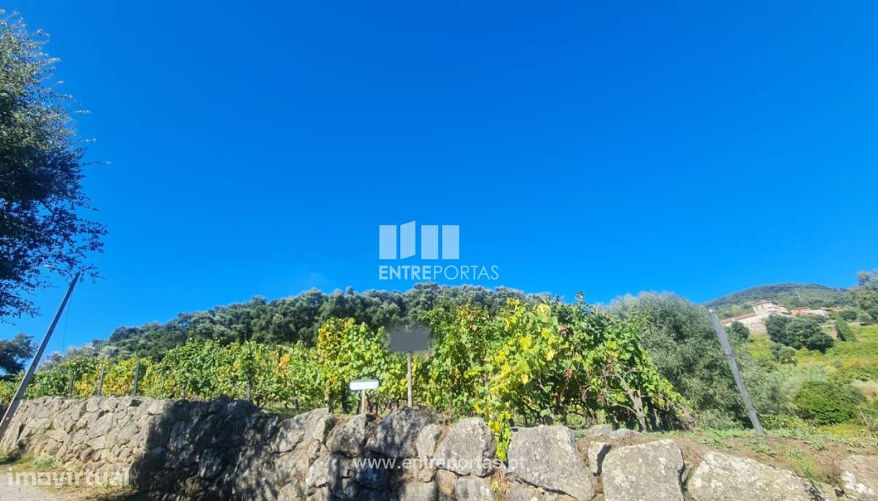 Venda de Terreno, Stª Marinha do Zêzere Baião - Grande imagem: 5/5