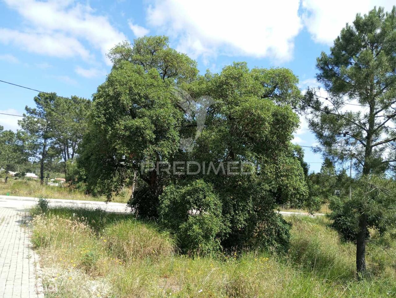 Terreno Urbano na Quinta da Marquesa III, Quinta do Anjo