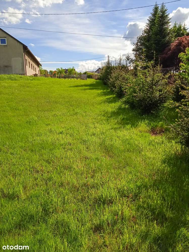 Działka rekreacyjna z drewnianym domkiem - Kończyce Wielkie - Pełny obrazek: 4/13