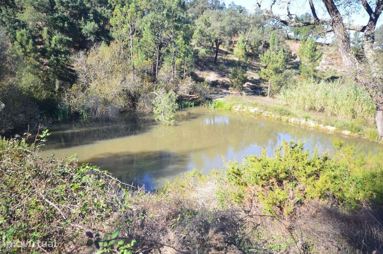 Herdade com 960.000 m2 - Grande imagem: 5/18