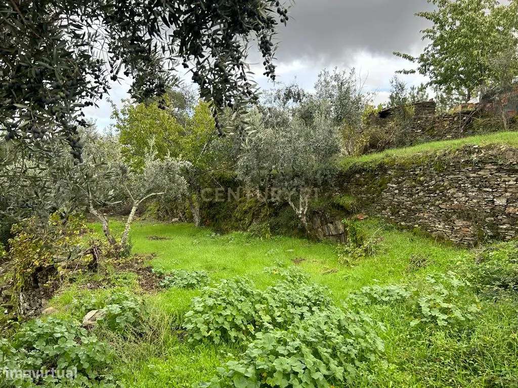 Terreno com 2020 m2, Sobrainho dos Gaios - Grande imagem: 5/18