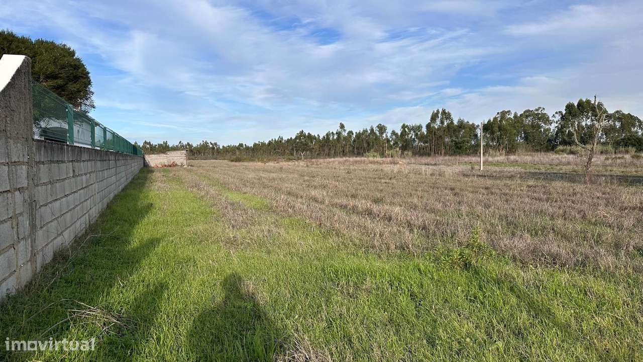 Terreno Urbano - Glória do Ribatejo - Grande imagem: 5/5