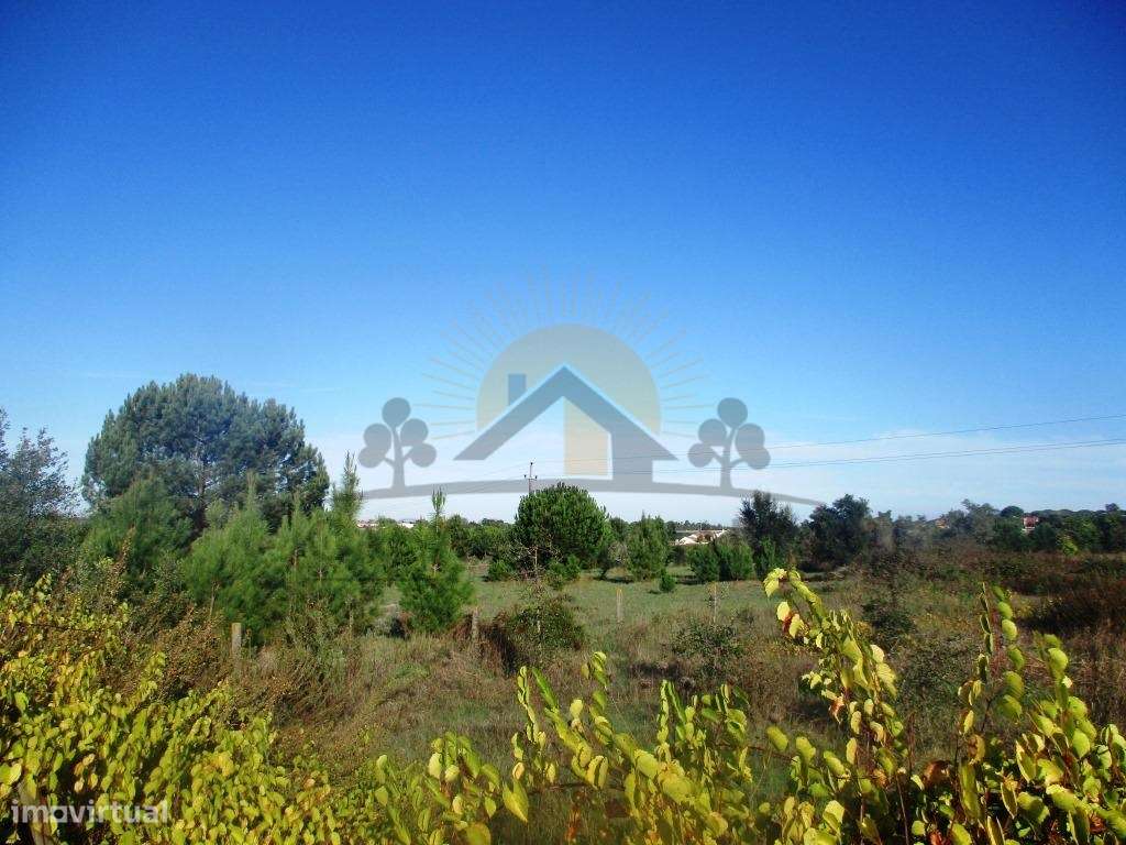 Bombel - Vendas Novas - Grande imagem: 5/10