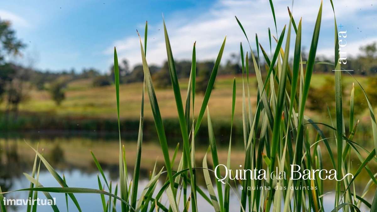 Imóvel Exclusivo | A Quinta da Barca - Grande imagem: 5/31