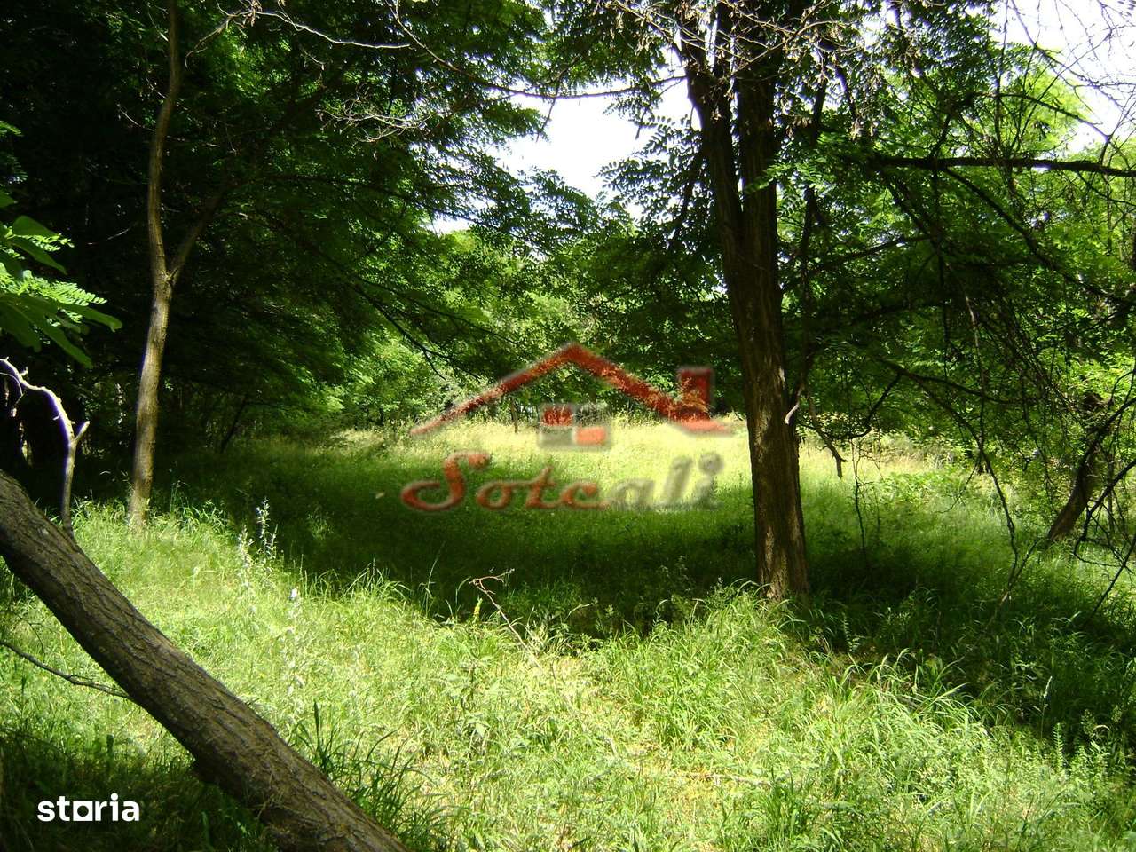 Teren de vanzare Cornu 3074 mp-9