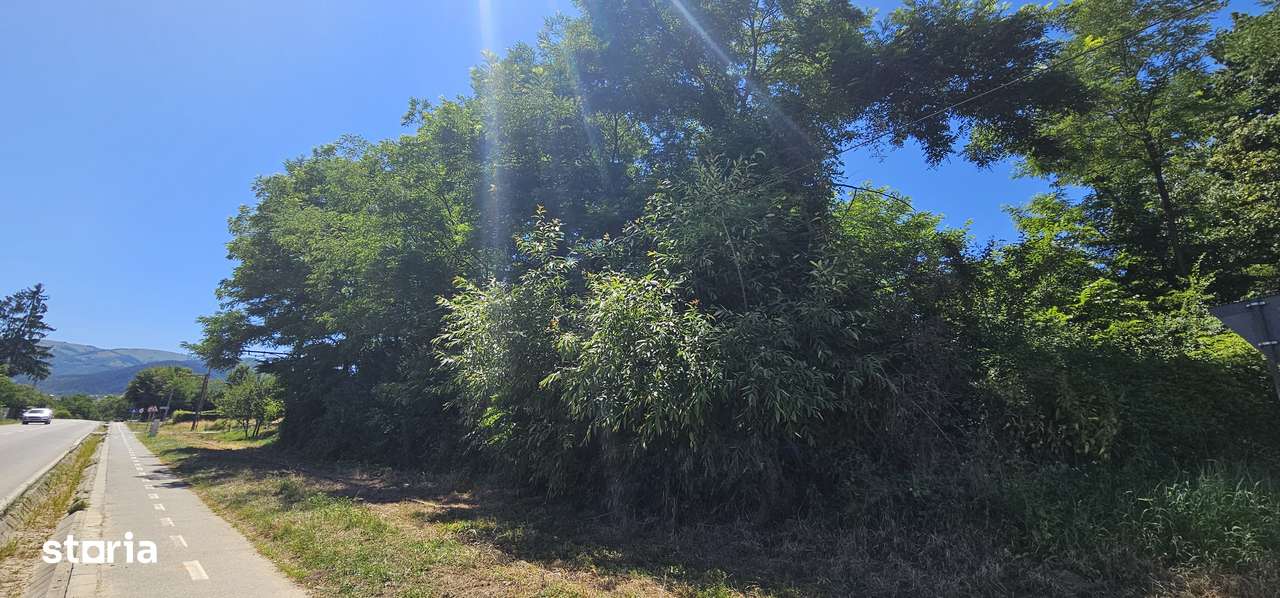 Vand teren intravilan de constructii situat la sosea, Tropinii Noi,PUZ-10