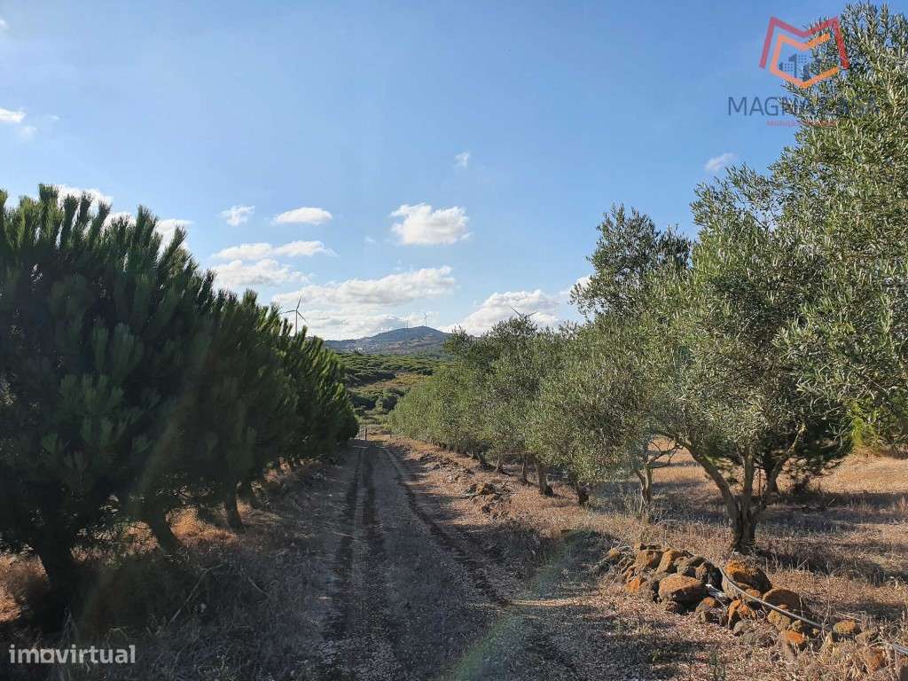 Terreno em Salemas Lousa, Loures - Grande imagem: 5/27