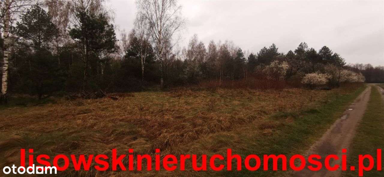 Działka 1050m2 Kwilno - Pełny obrazek: 2/2