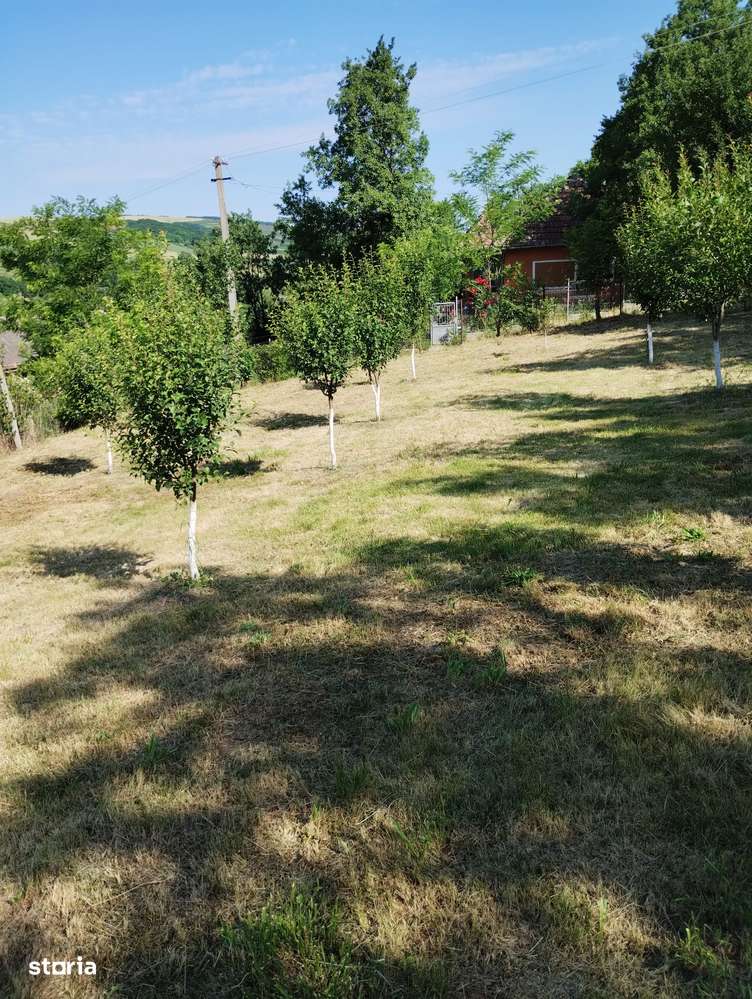 Casă renovată, teren 2300 mp, utilități complete – poziție centrală-5