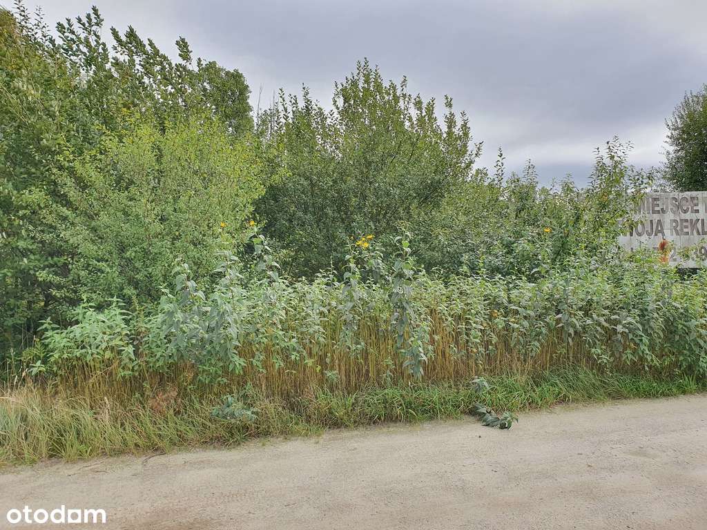 Działka budowlano-usługowa Wrocław Strachowice-8