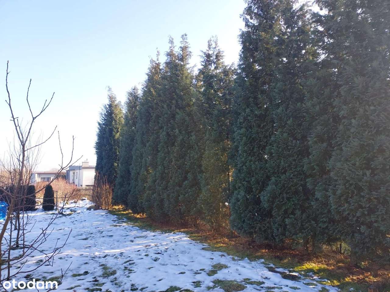 UNIKATOWA DZIAŁKA W CENTRUM ŻOR – POZWOLENIE NA 2 DOMY-0